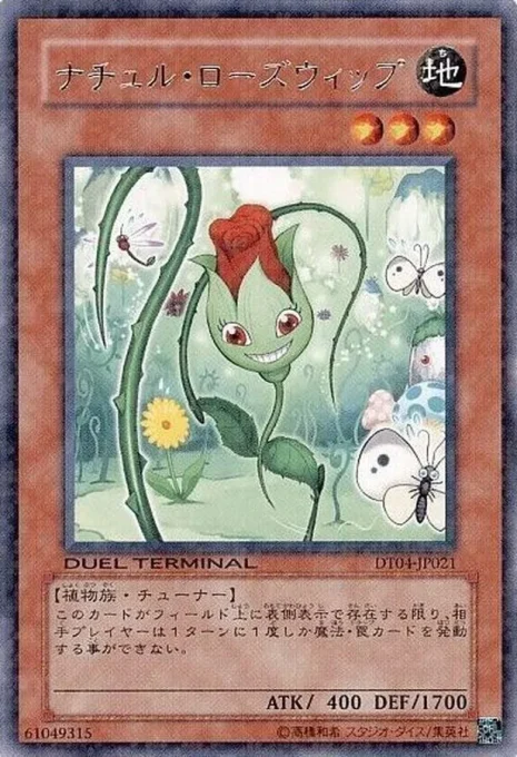 ナチュル・ローズウィップ